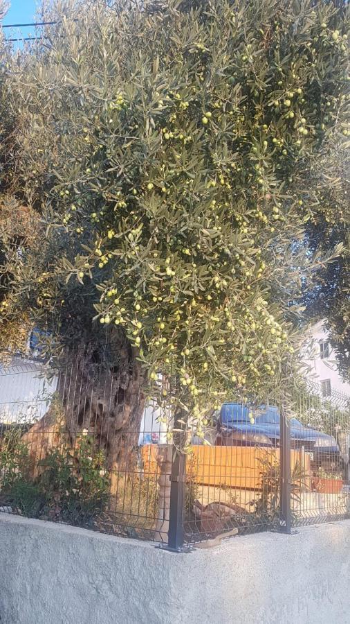 Old Olive Apartman *